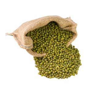 Maş Fasülye