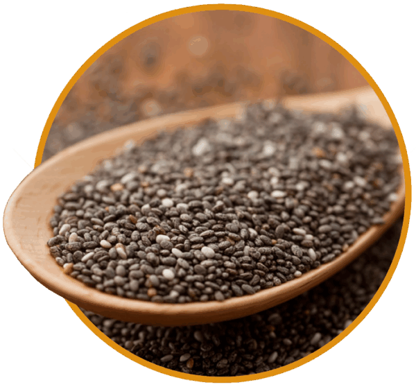 Chia Tohumu