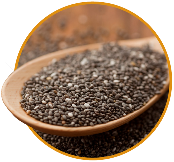 Chia tohumu